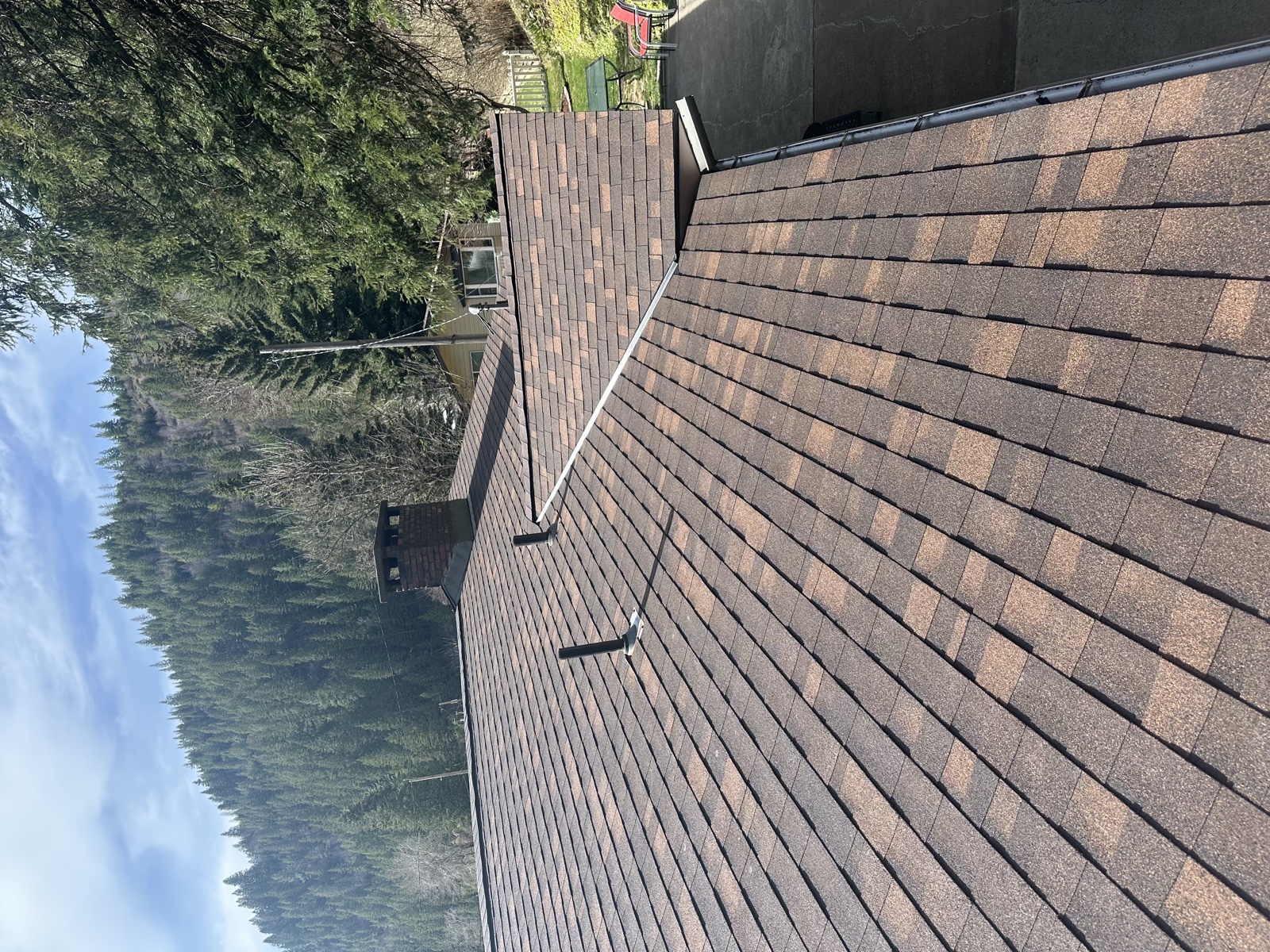 Close-up of a newly installed dark brown asphalt shingle roof with peaked ridges on a Hayden, Idaho home, surrounded by tall pine trees